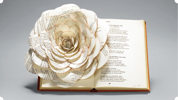 Books-Jun13-CoffeeTable-01-590