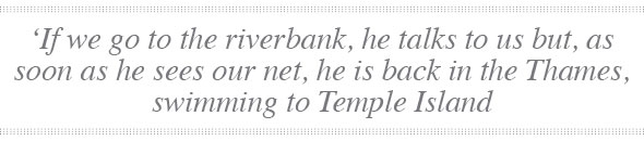 Aardvark-00-Quote-590