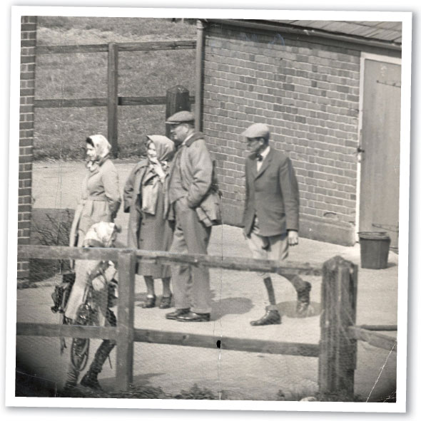 Royal-Horse-Trainers-02-590