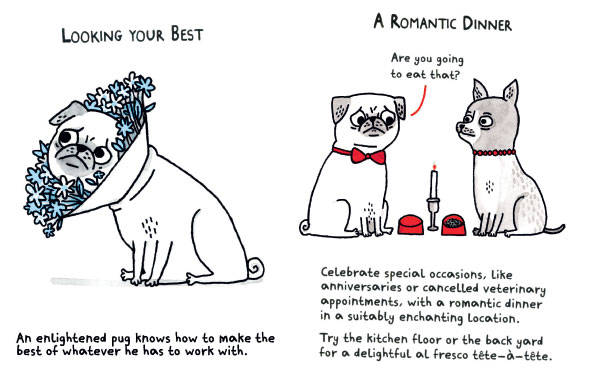 A Pug’s guide to dating