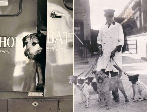 Charities-Animals-Oct18-01-590