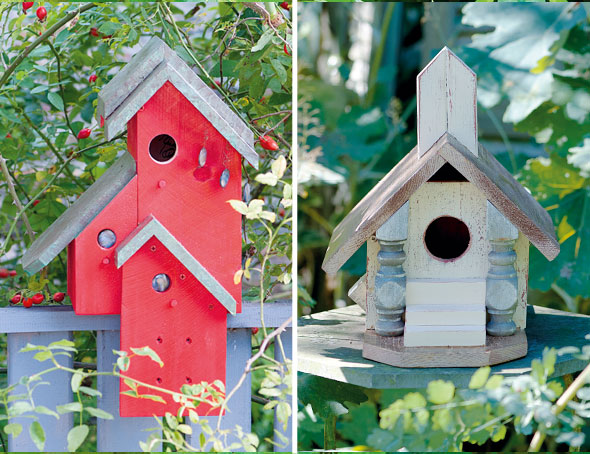 birdhouse 590 2