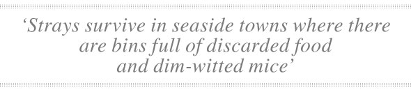 Hastings-Nov22-00-quote-590