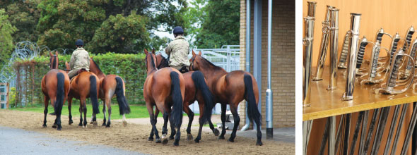 Kings troop