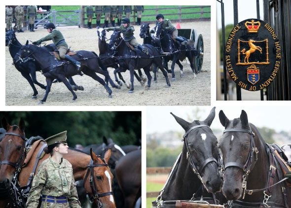 Kings Troop