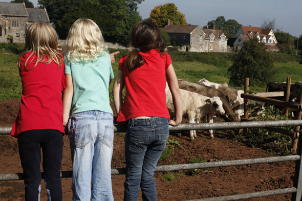 WWW-Farm-open-day-picture-590