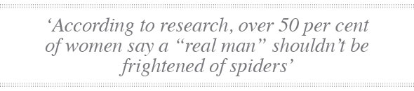 Spiders