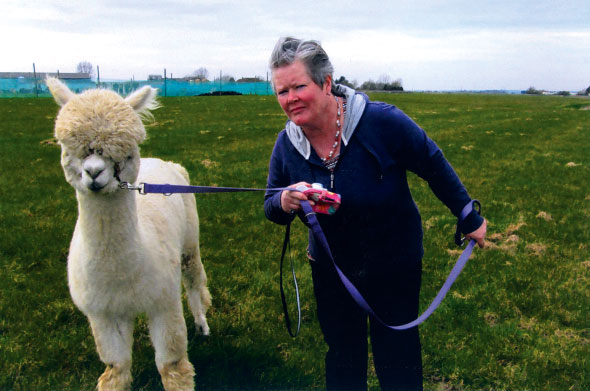 Alpacas-04-Kath-Box-590